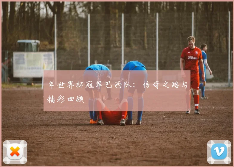 年世界杯冠军巴西队:传奇之路与精彩回顾